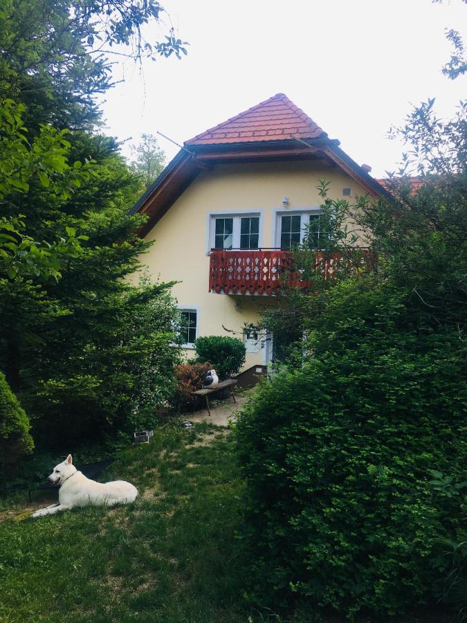 Nicehead Spacious Nest Between Maribor And Celje Apartment Loce pri Poljcanah Ngoại thất bức ảnh